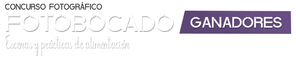Fotobocado - Ganadores